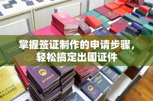 定襄掌握签证制作的申请步骤，轻松搞定出国证件