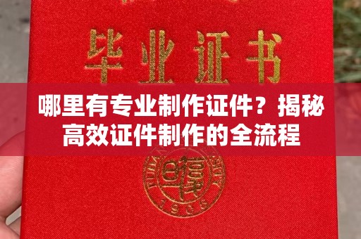 定襄哪里有专业制作证件？揭秘高效证件制作的全流程