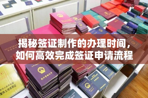 定襄揭秘签证制作的办理时间，如何高效完成签证申请流程