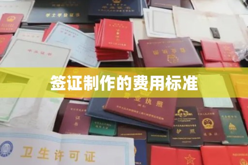 定襄签证制作的费用标准