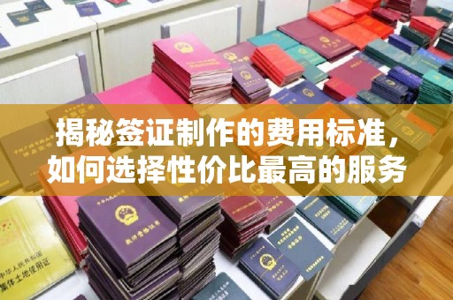 定襄揭秘签证制作的费用标准，如何选择性价比最高的服务？