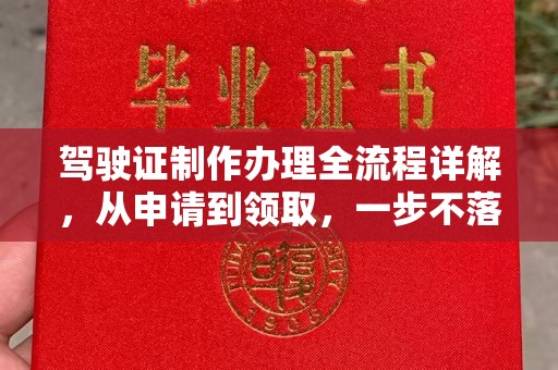 定襄驾驶证制作办理全流程详解，从申请到领取，一步不落