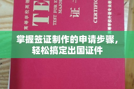 定襄掌握签证制作的申请步骤，轻松搞定出国证件